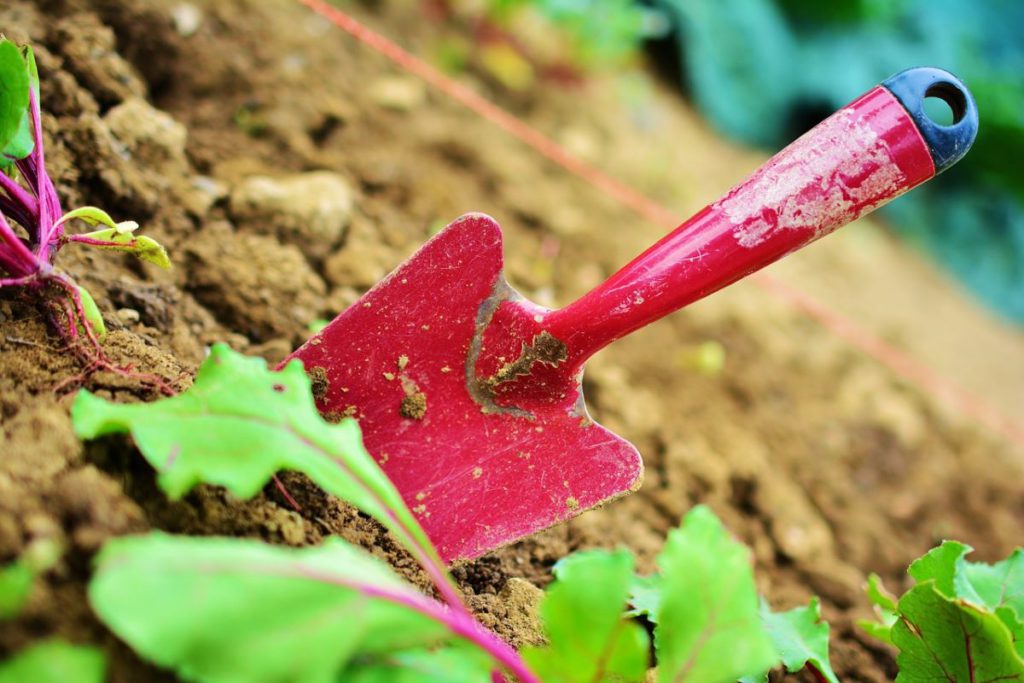 Tips for Improving Soil Health